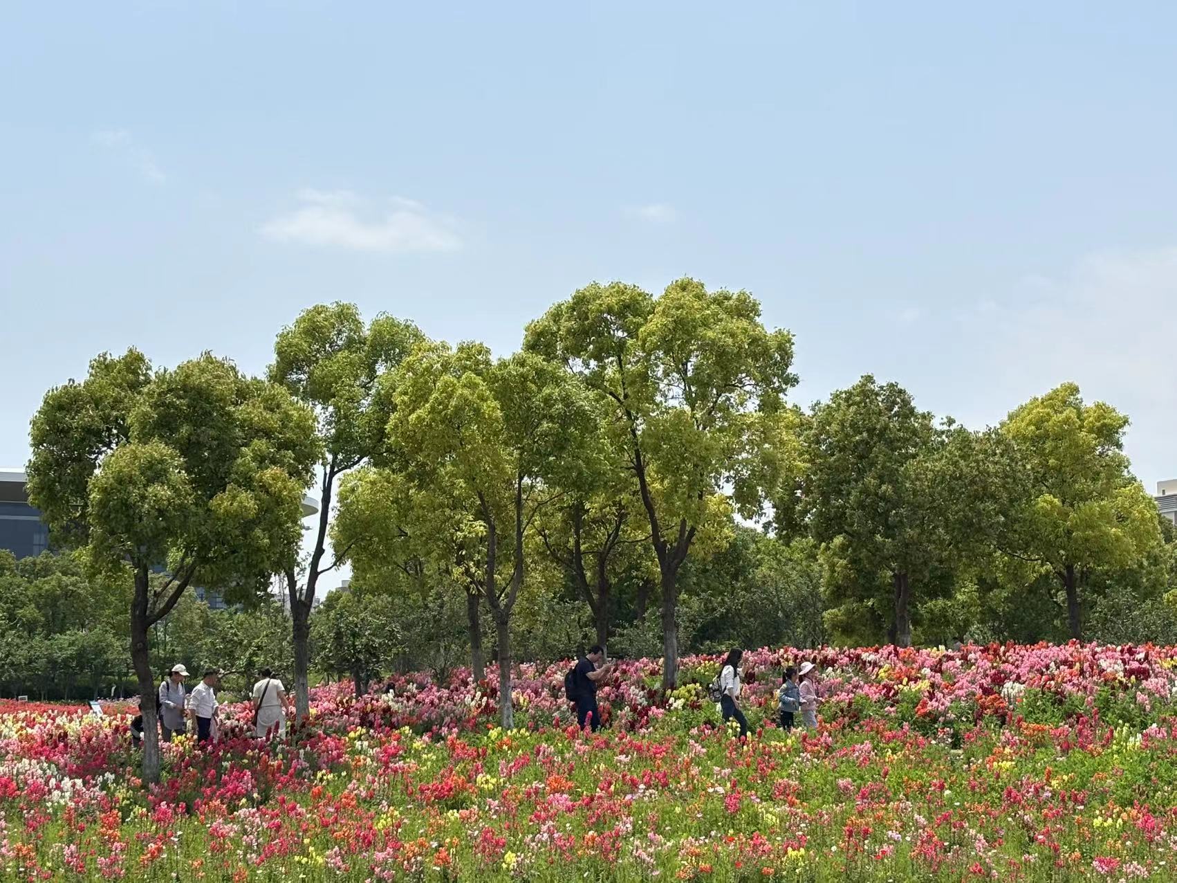 微信图片_20250521091009.jpg 微信图片_20250521091009.jpg